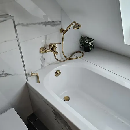 Sisi's Loft - Royale (adults Only) * באד אישל